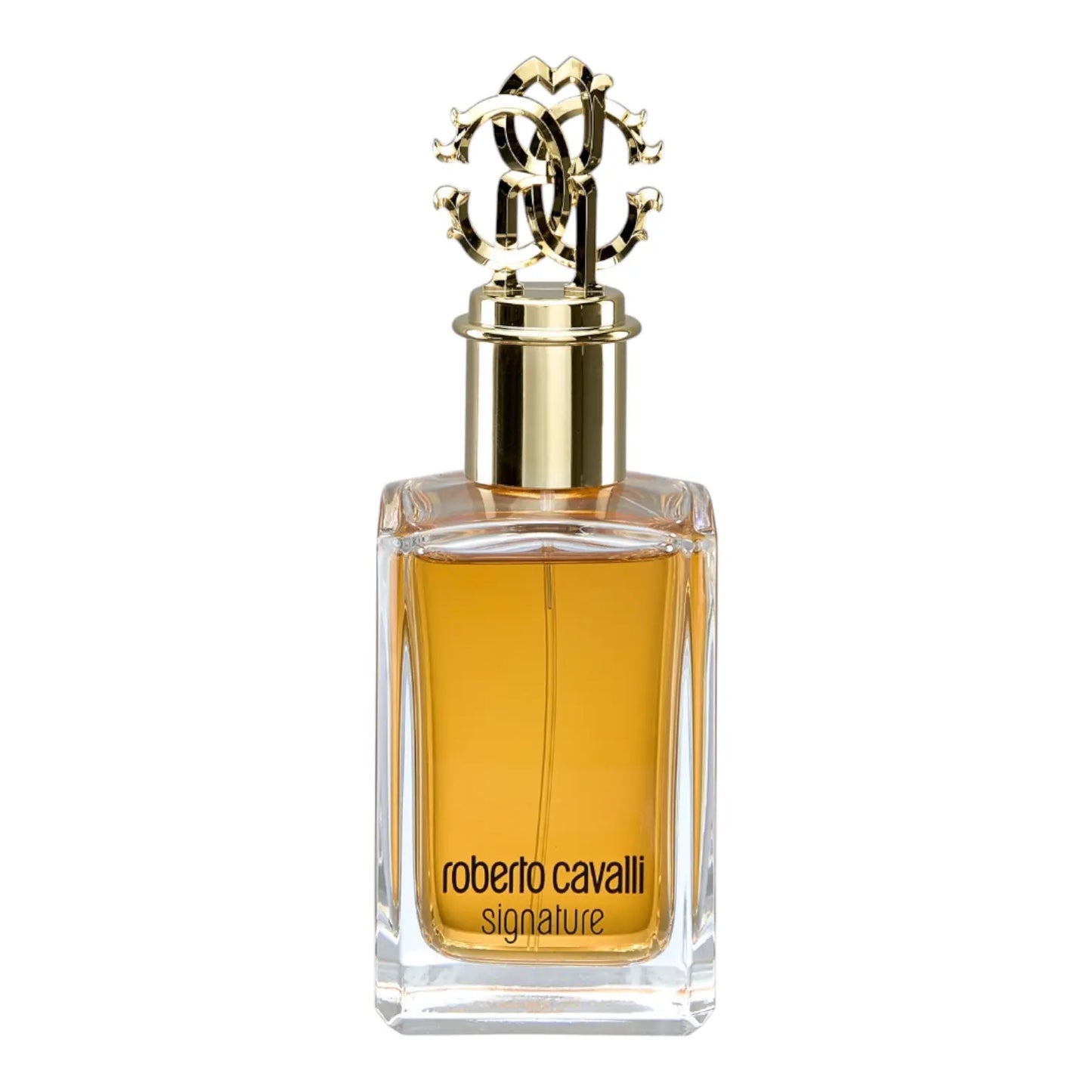 Roberto Cavalli Signature Eau de Parfum Spray 100ml Roberto Cavalli