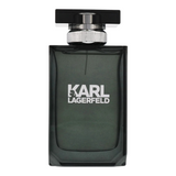 Karl Lagerfeld Eau de Toilette for Men Karl Lagerfeld