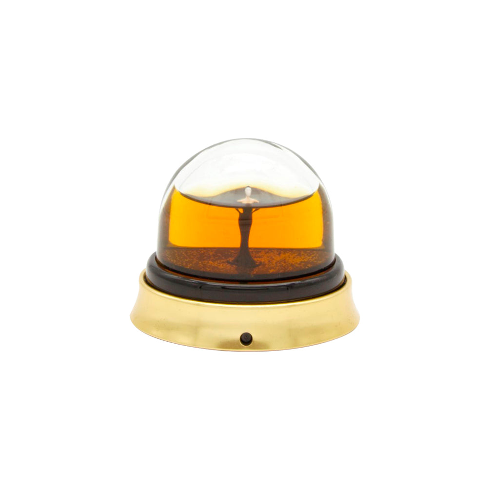 Jean Paul Gaultier Fragile Eau de Parfum Spray 25ml